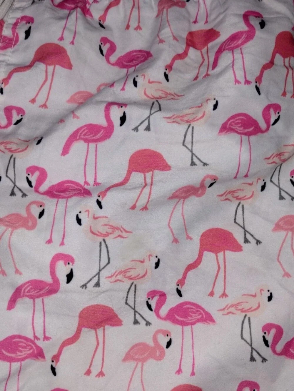 Janie & Jack Flamingo Swim Trunks & Hanna Andersson Rashgard Size 10